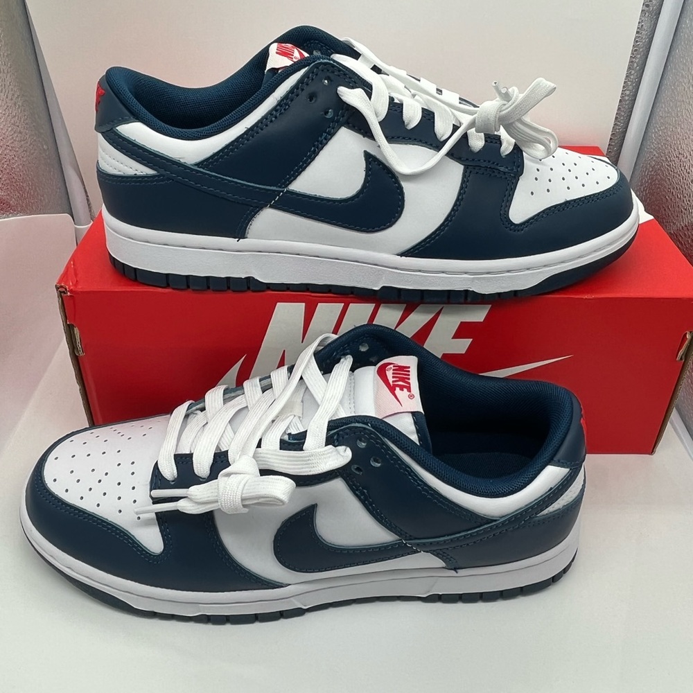 Brand new Nike air dunks low